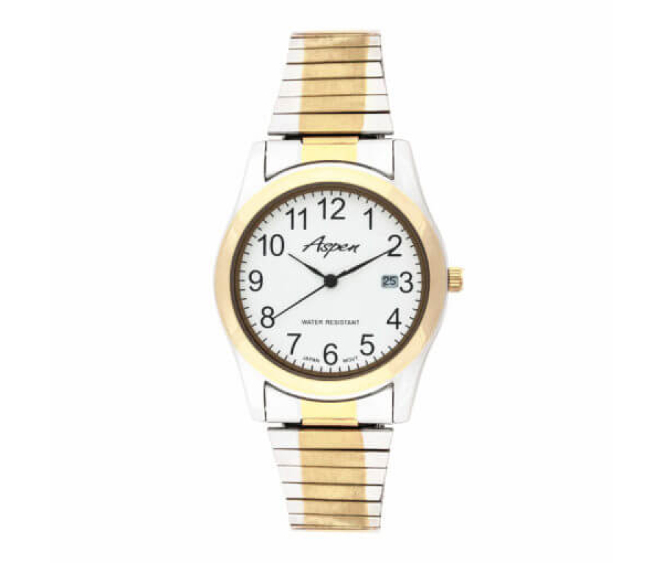 MONTRE POUR HOMME ASPEN EN ACIER/PVD OR 2 TONS - BA AP3037 - ASPEN MONTRE POUR HOMME ASPEN EN ACIER/PVD OR 2 TONS - BA AP3037 - ASPEN