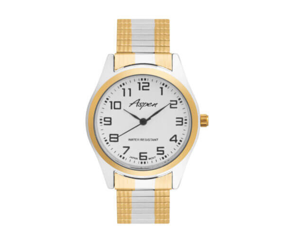 MONTRE POUR HOMME ASPEN EN ACIER/PVD OR 2 TONS - BA AP3079 - ASPEN MONTRE POUR HOMME ASPEN EN ACIER/PVD OR 2 TONS - BA AP3079 - ASPEN