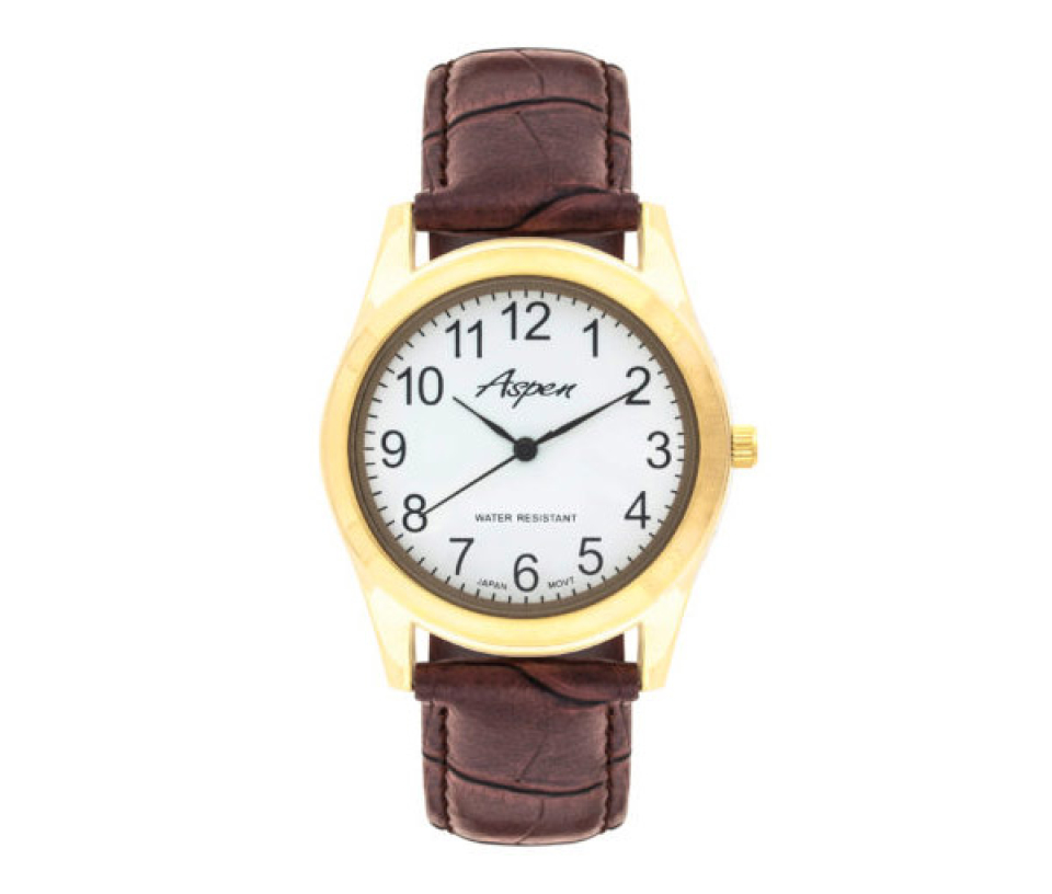 MONTRE POUR HOMME ASPEN EN ACIER/PVD OR - BA AP3011BR - ASPEN MONTRE POUR HOMME ASPEN EN ACIER/PVD OR - BA AP3011BR - ASPEN